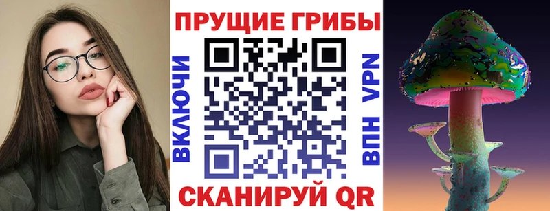 Псилоцибиновые грибы Psilocybe  Купить закладки  Красный Холм 