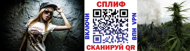 Купить где  Красный Холм  Марихуана гибрид 